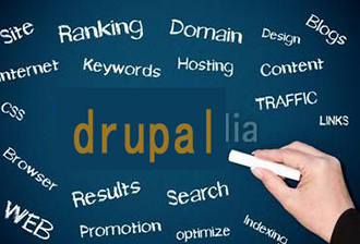 Drupal8.7.6可以开发中英双语网站吗？