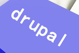 Drupal8.7.6如何输出所属栏目——页面标题