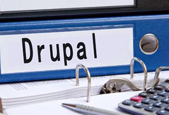 drupal9中如何删除搜索结果中的搜索表单？