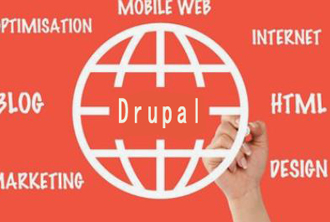 drupal9搜索结果中怎么打印field_image等自定义字段？