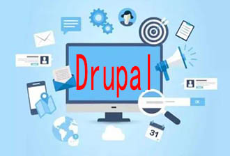 使用Drupal9构建调查问卷与网络投票功能